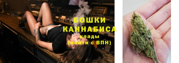 гидропоника Шадринск