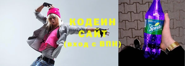 соль ск Арсеньев