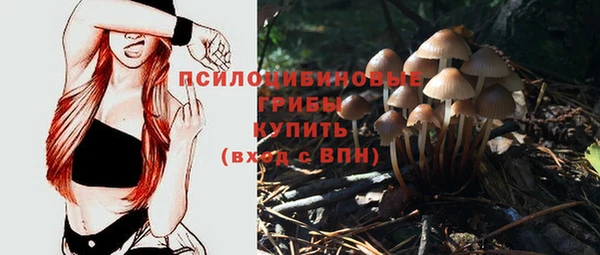 метамфетамин Аркадак