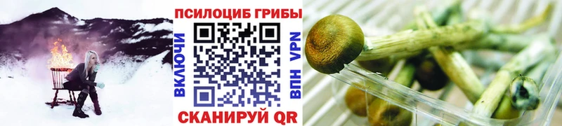 Галлюциногенные грибы прущие грибы  это телеграм  Балашиха 
